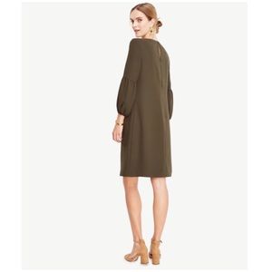 Ann Taylor, Size 8, Olive Shift Dress